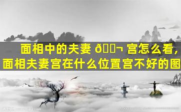 面相中的夫妻 🐬 宫怎么看,面相夫妻宫在什么位置宫不好的图